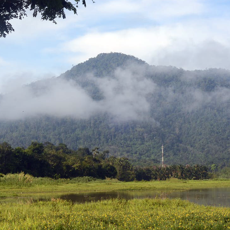 danglang-ikan-pekasam-rumah-sungai-lata-papan-mandi-kuak-hill-lenggong-tasik-raban-bot-resort
