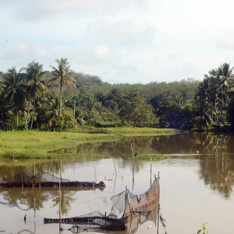 ikan-sungai-pekasam-rumah-sungai-lata-papan-mandi-kuak-hill-lenggong-tasik-raban-bot-resort
